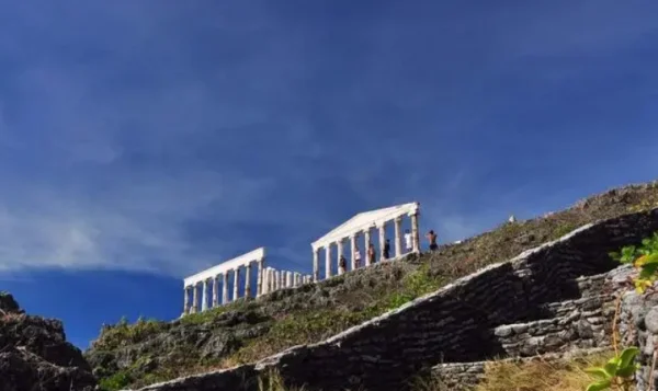 fortune造句 fortune造句