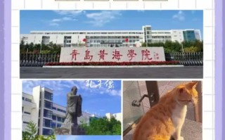 华中科技大学的图书馆怎么样-如何评价华中科技大学图书馆